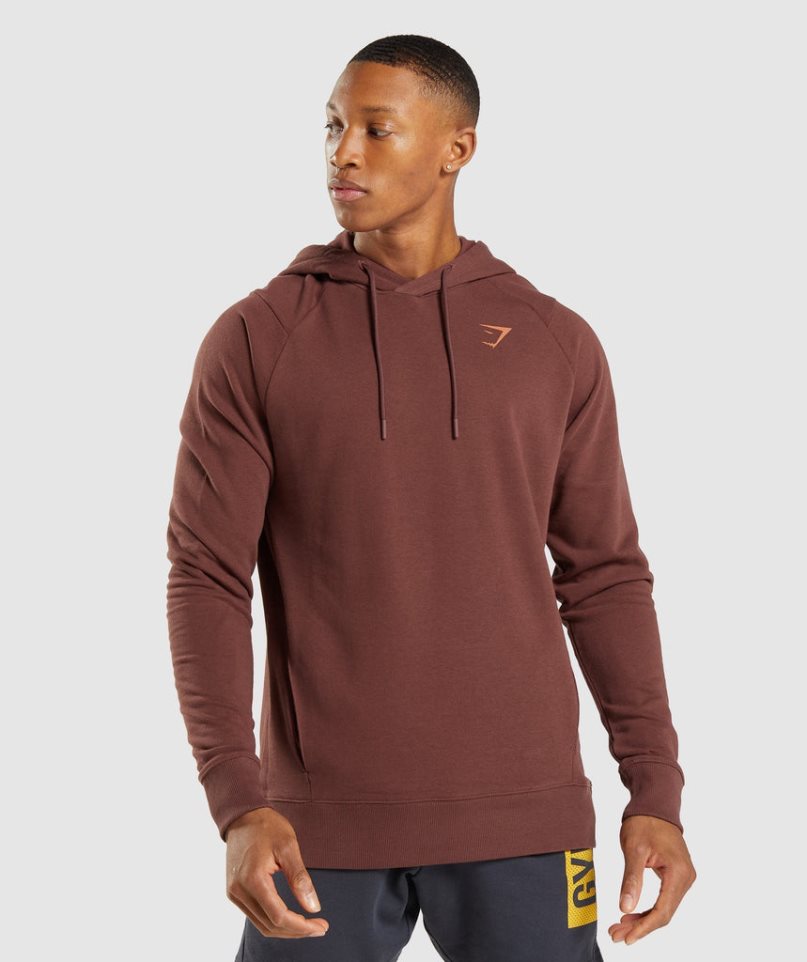 Men's Gymshark Bold Hoodie Brown | NZ 0RGYEO